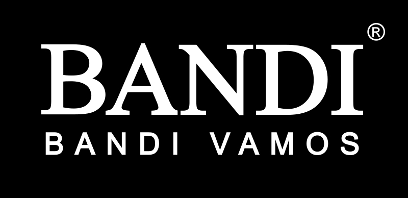 logo firmy BANDI